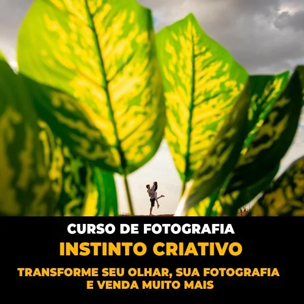 Curso Fotografia Instinto Criativo Daniel Ribeiro