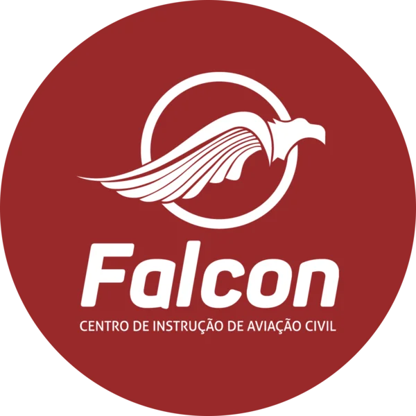 Comissário De Voo Premium