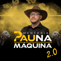 Mentoria Pau Na Máquina Claudinei Gomes