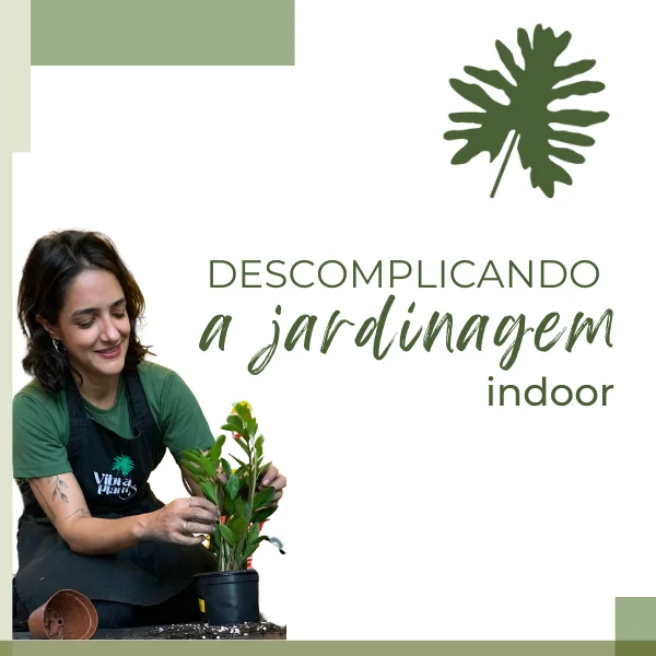 Descomplicando a jardinagem indoor Letícia