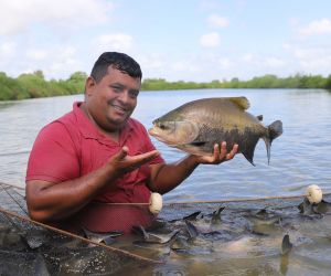 Curso Reprodução de Tambaqui Luiz do Peixe